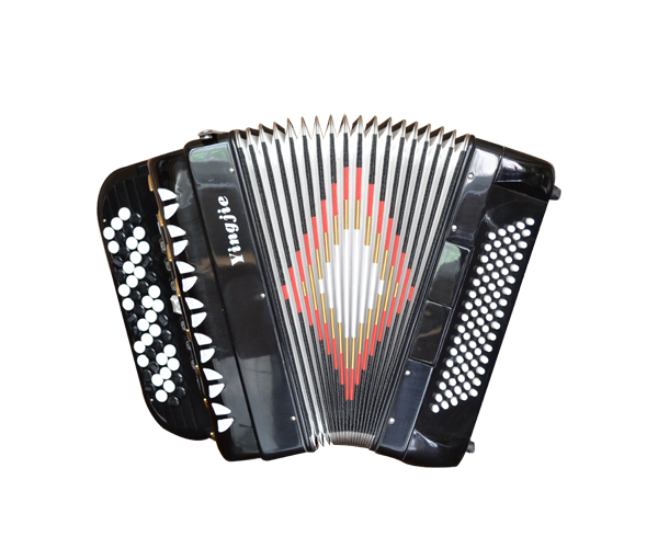 YJB6996 Button Accordion